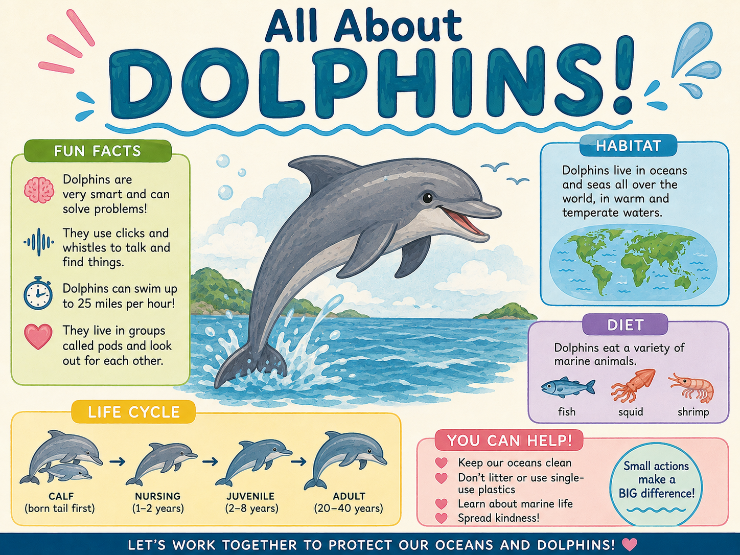 All About Dolphins!
